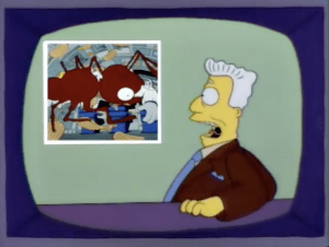 Space ants