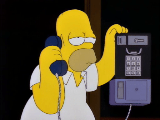 Deep Space Homer1