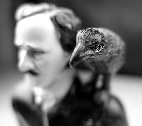 Poe & Raven