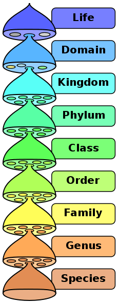 Biological Classification