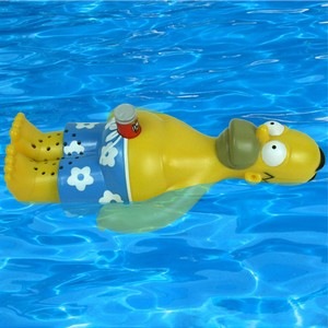 Floating Homer Radio