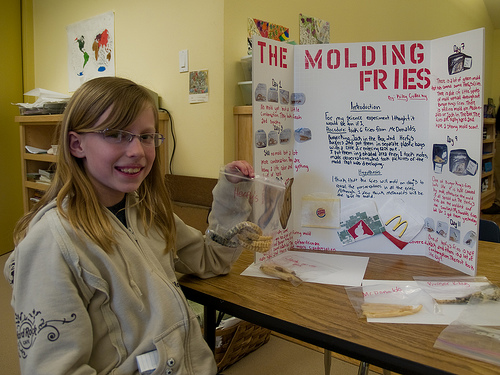 Science Fair Mold