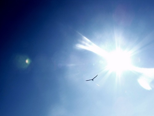 The Sun