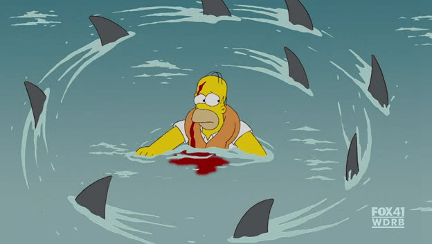 Sharks2