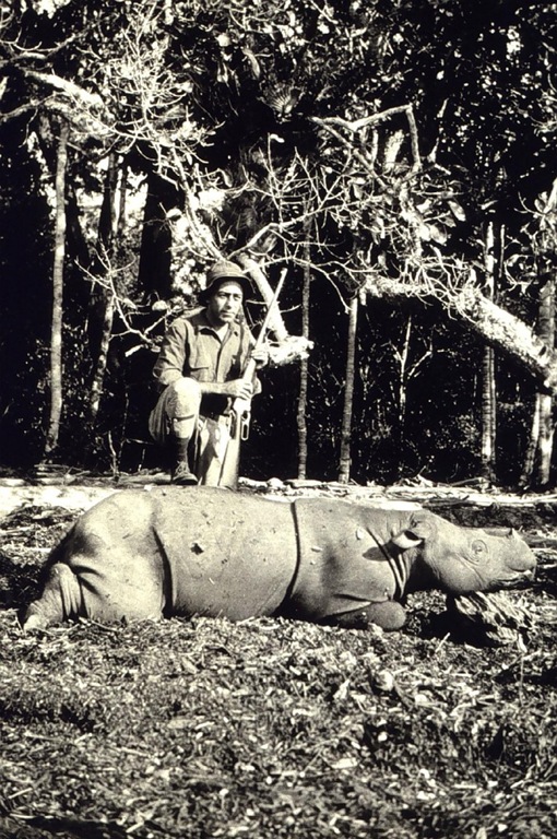 Rhino Hunting
