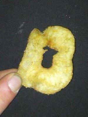 Homer Chip (rotated)