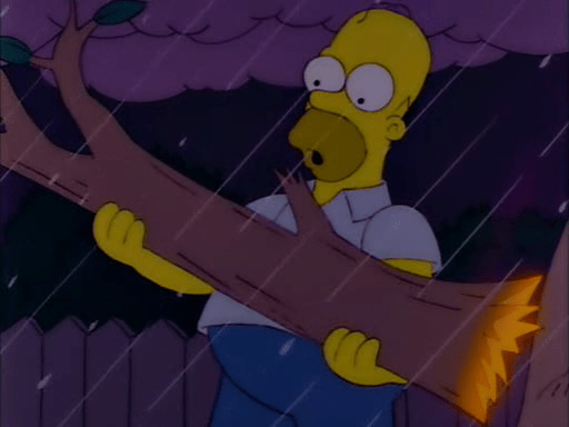 Homer at the Bat4