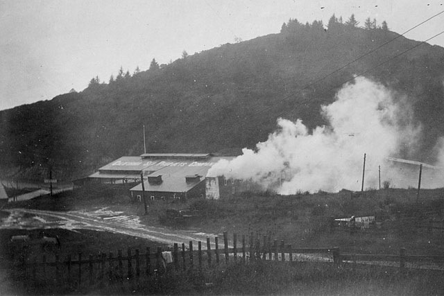 Flensing and Rendering Plant