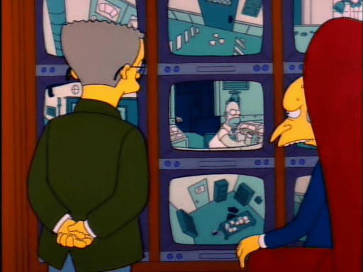 Mr Lisa Goes to Washington6