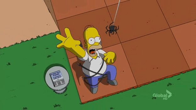 Sky Spider