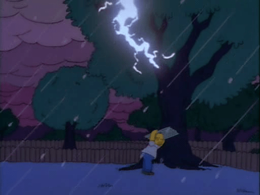 Homer at the Bat6