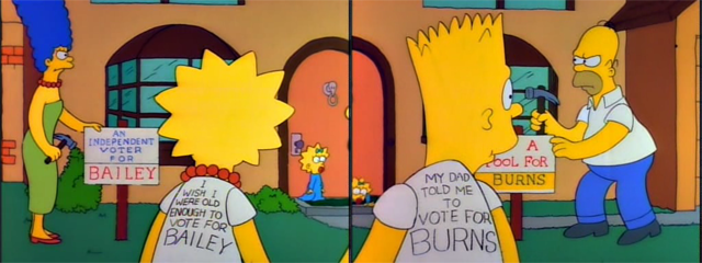 Campaign Signs