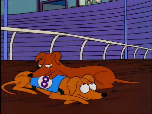 Two Dozen and One Greyhounds10