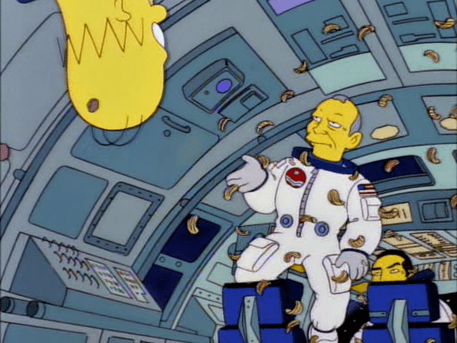 Deep Space Homer7