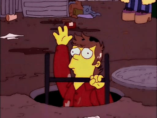 The City of New York vs. Homer Simpson6