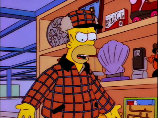 Homer's Phobia11