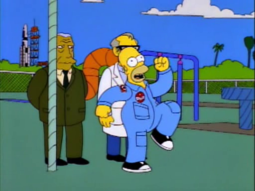 Deep Space Homer13