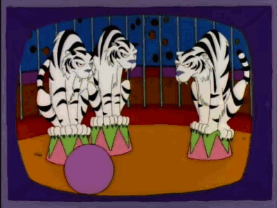 SiberianTibers