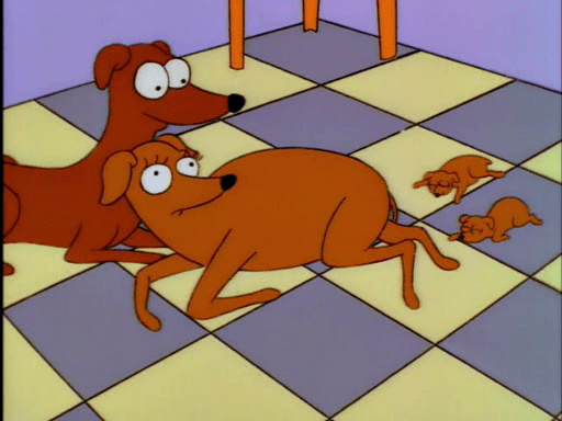 Two Dozen and One Greyhounds16