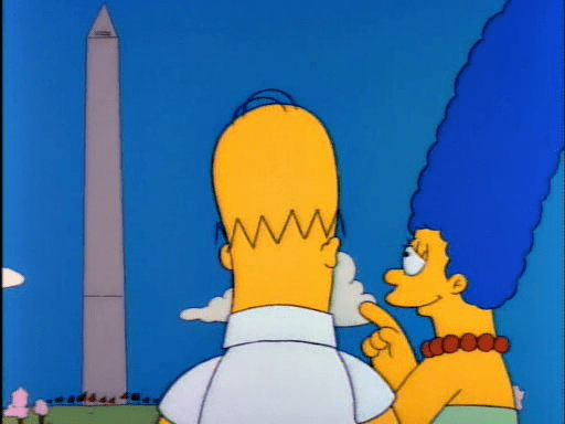 Mr Lisa Goes to Washington10