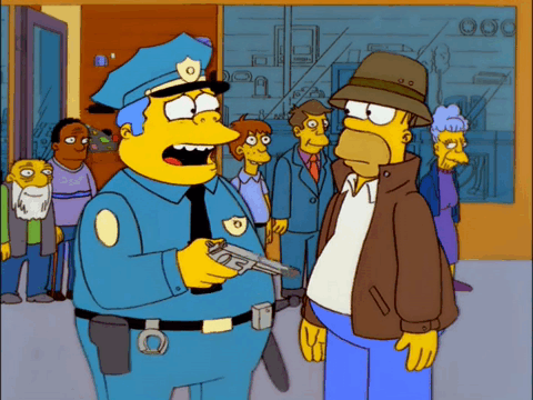StupidCopFromTV