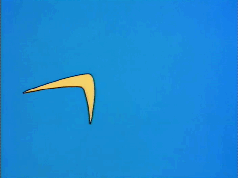 throwingstick